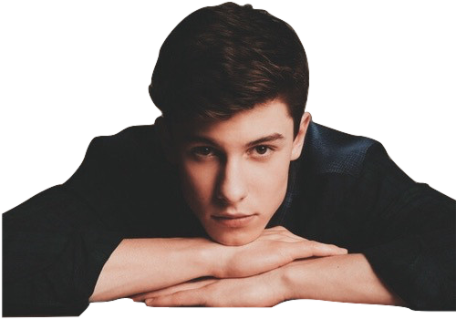 Shawn Mendes Png Images - Shawn Mendes Png (499x382), Png Download