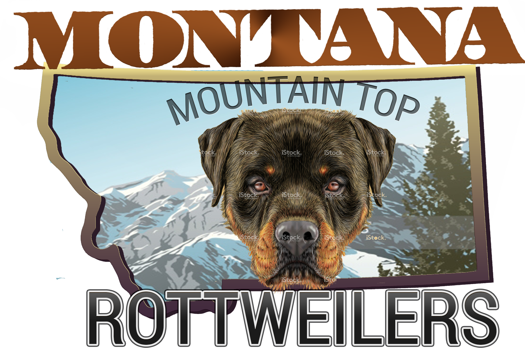 Montana Rottweiler - Women Dog Portraits Print Canvas Leather Trap Tote (1800x1530), Png Download