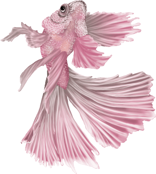Views Album, Blog, Beauty, Yandex, Mermaids, Photoshop, - Clip Art (524x600), Png Download
