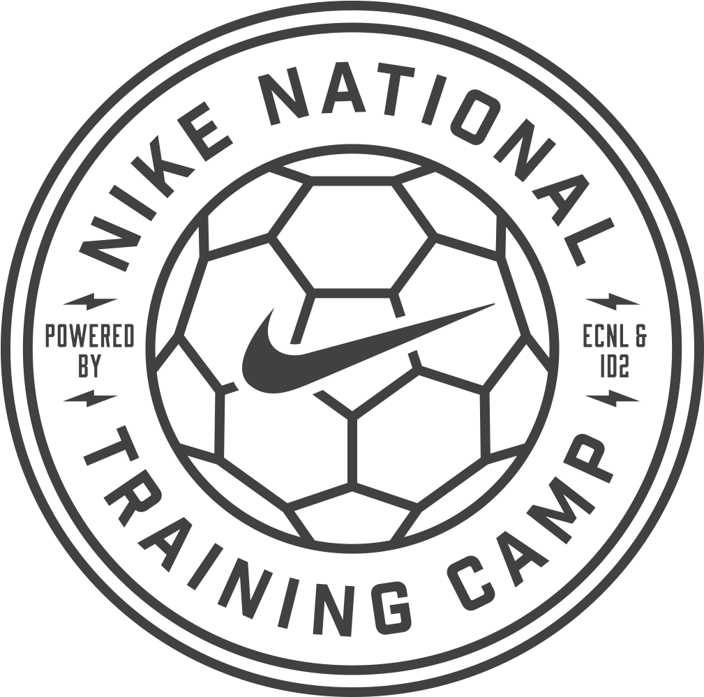 Risk Everything Nike Logo (1024x1024), Png Download