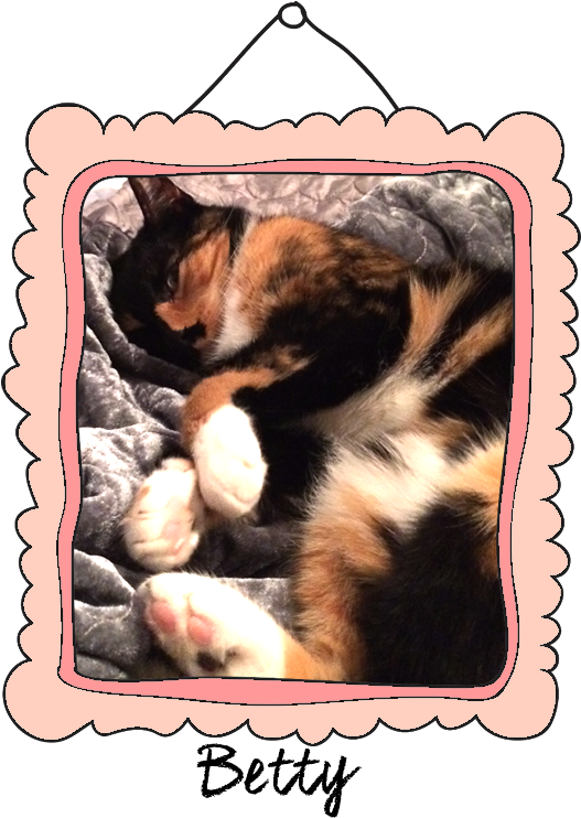 Betty Crossed The Rainbow Bridge On March 30, - Dog (526x753), Png Download