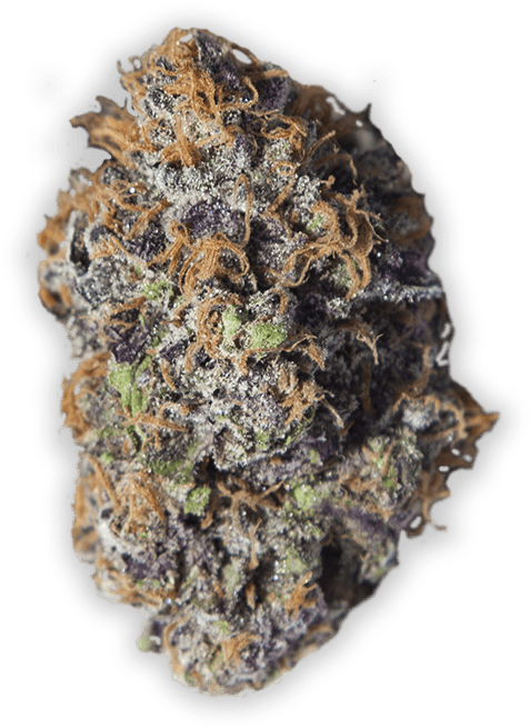 Grandaddy Purple Cannabis In Reno - Strawberry Shortcake Jungle Boys (600x702), Png Download