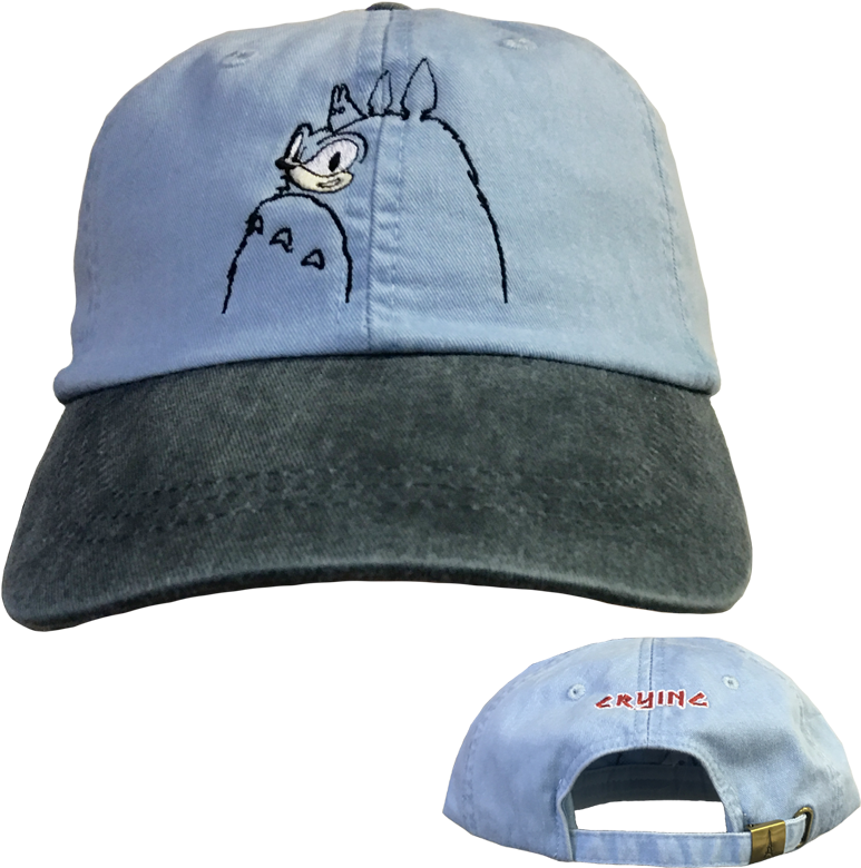 Hat - $25 - (800x800), Png Download