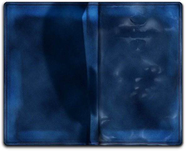 Draw Some ¨glossy¨ Effect Around The Place For Tittle - Leather (600x537), Png Download