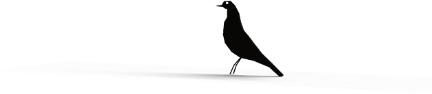 The Communication Between The Reader And The Card Is - Boat Tailed Grackle (683x618), Png Download