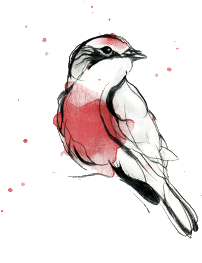 Pajaro Png (680x859), Png Download