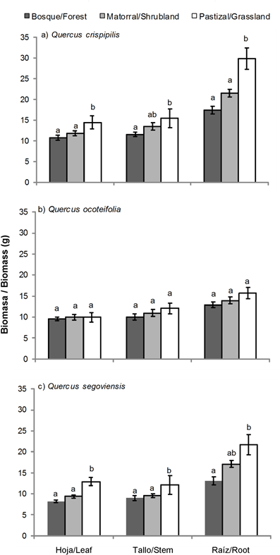 Figure 5 Biomass Accumulated Of Three Quercus Species - Diagram (414x806), Png Download