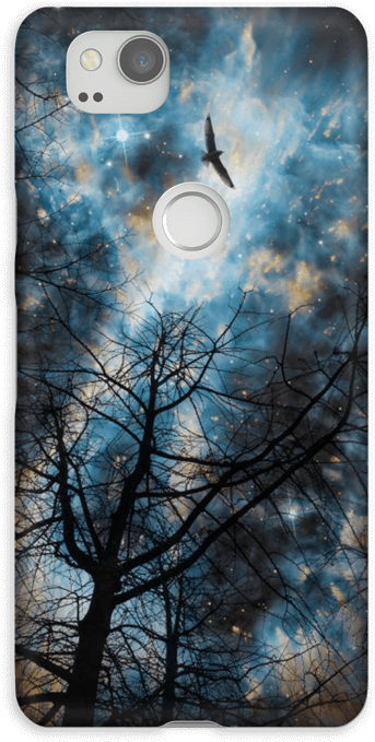 Fly Away Case Pixel - Highly Suspect - The Boy That Died Wolf (parental Advisory) (484x800), Png Download