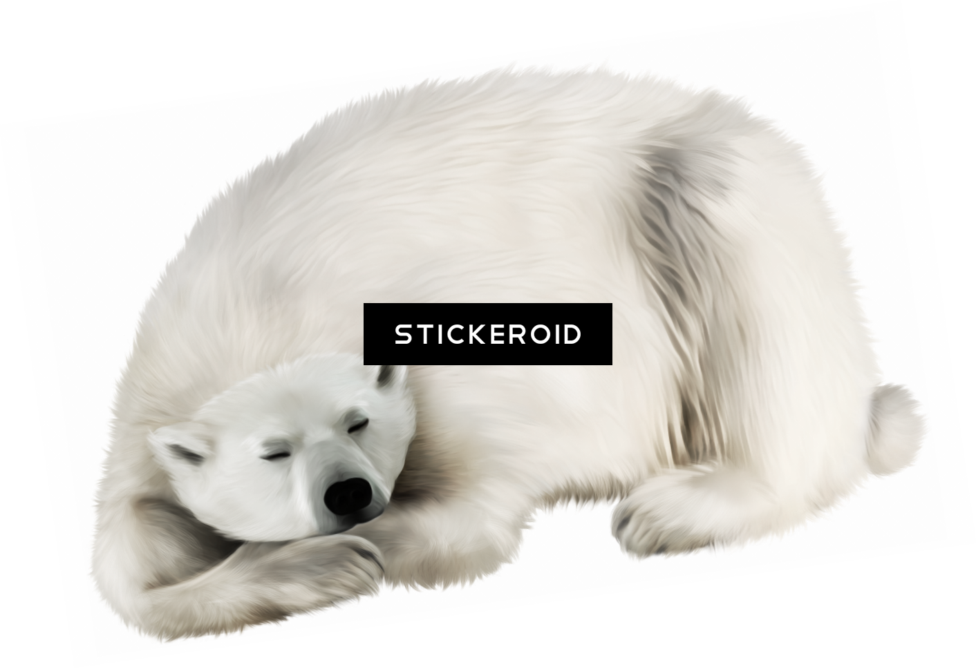 Polar White Bear - White Bear Transparent (1412x969), Png Download