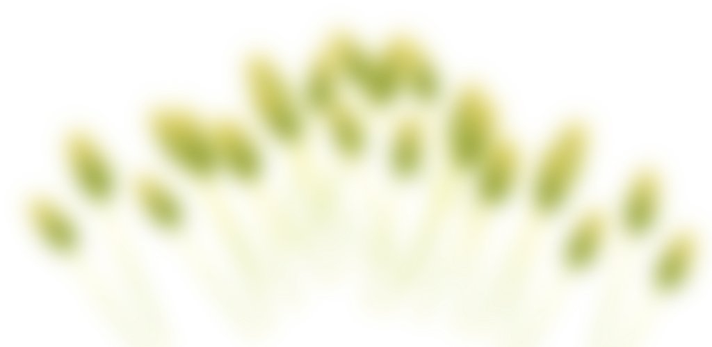 Slide B 2 - Transparent Headers (1024x499), Png Download