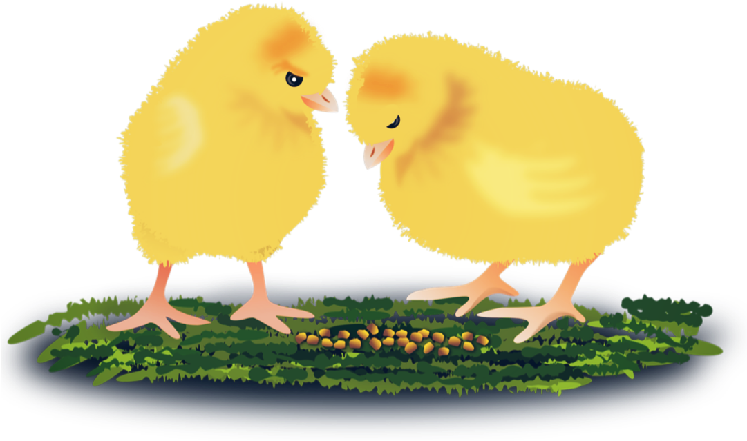 Report Abuse - Animal (1080x722), Png Download