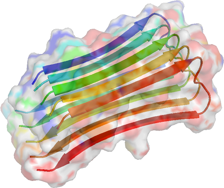 In Which Creationists' Understanding Of Amyloid Appearstangled - Amyloid Beta (745x628), Png Download
