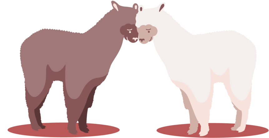 Empathy - Lama Png (1000x549), Png Download
