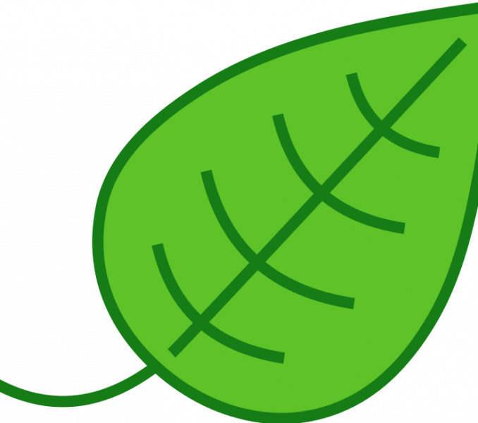 Feather Png Royalty Free - Leaf Clip Art (678x600), Png Download