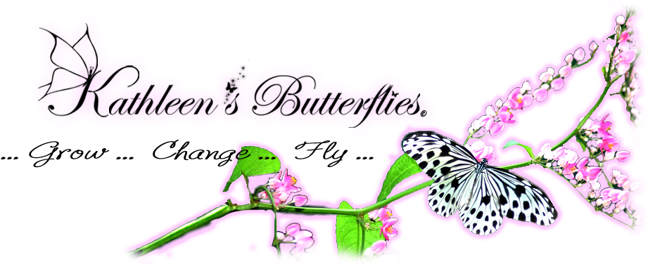 Kathleen's Butterflies - Ashleigh & Burwood (982x375), Png Download