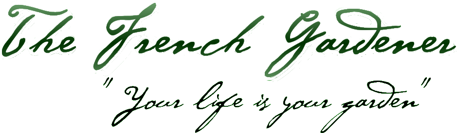 Logo - Loving Yourself: Four Steps To A Happier You - Trade (978x322), Png Download
