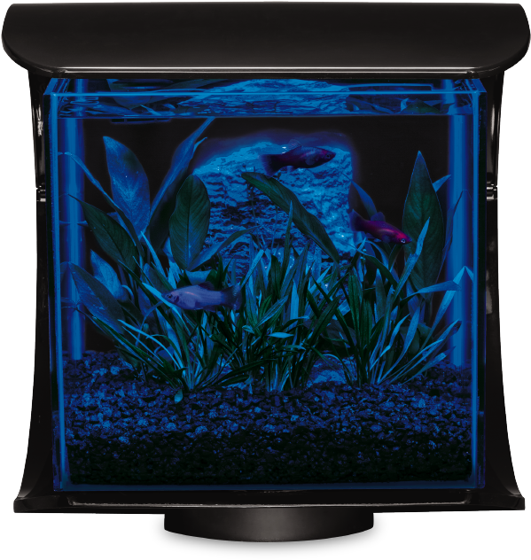 Silhouette Desktop Kit - Marineland Silhouette Square Glass Aquarium Kit 3-gallon, (640x640), Png Download