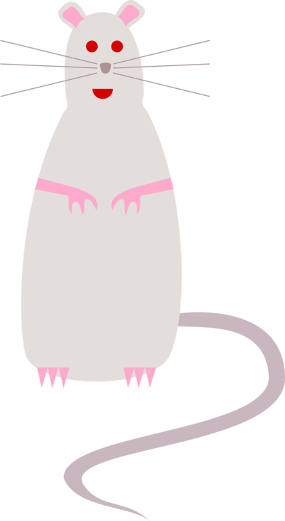 Splat The Rat Mouse Whiskers Cartoon (411x750), Png Download