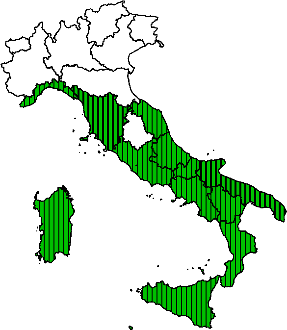 Washingtonia Robusta H - Asinara National Park (612x700), Png Download