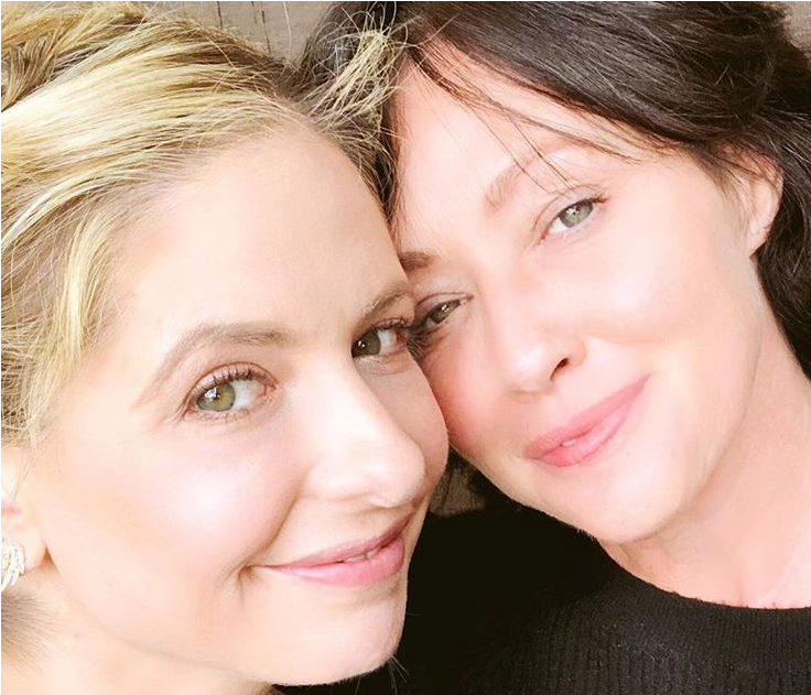 Sarah Michelle Gellar - Shannen Doherty Sarà Michelle Gellar (1200x630), Png Download
