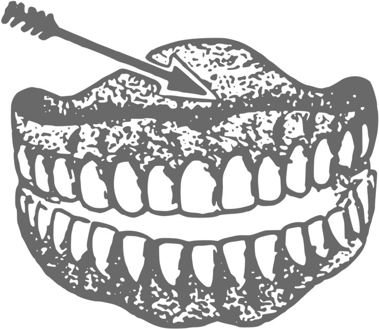Drawing Human Tooth Black And White Dentures Homo Sapiens - Dentures Clipart (750x750), Png Download