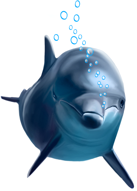 Funny Dolphin Png (480x654), Png Download