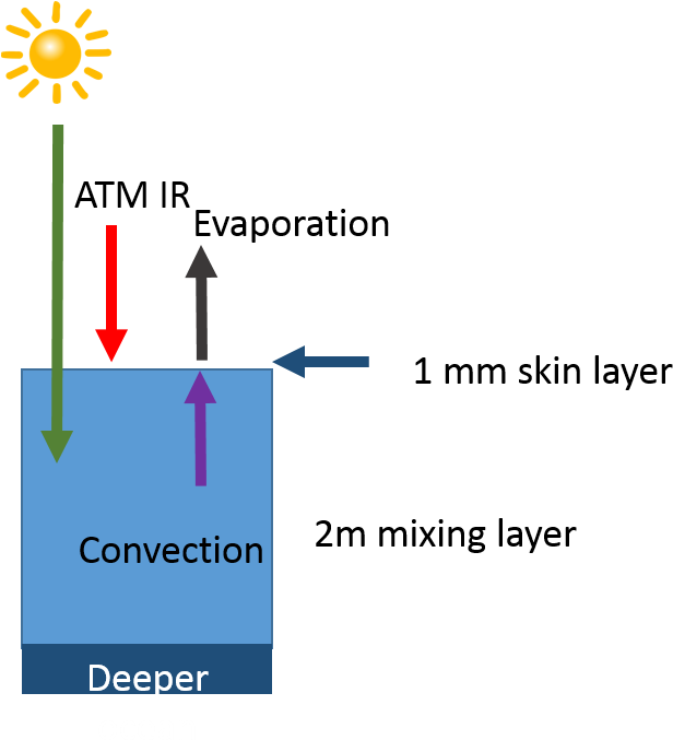 Start With The Observation That Sunlight Is Absorbed - Deliberate Creator Pillow Case (638x709), Png Download