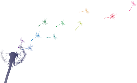 Dandelion - Guide To Becoming A Scholarly Practitioner (1024x320), Png Download