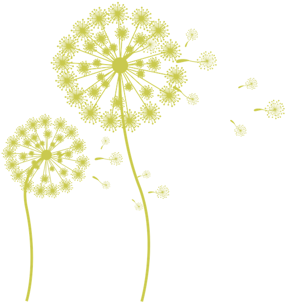 Download Dandelion Flying Dandelion Silhouette Full Size Png Image Pngkit