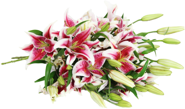 Bouquet (600x600), Png Download