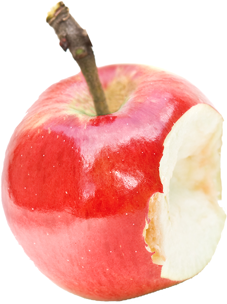 End Waste - Apple (800x800), Png Download