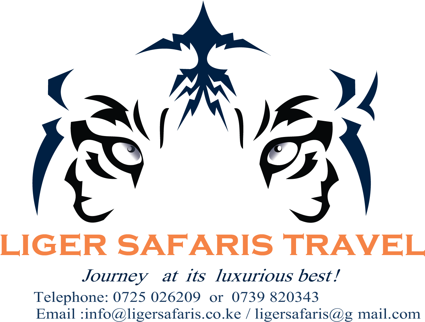 Liger Safaris, The Journey At Its Luxurious Best - Custom Mtb/ Cycling Jerseys (1406x1038), Png Download