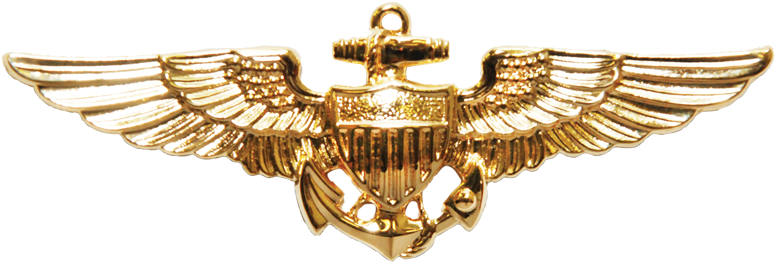 Naval Aviator Wings Png (800x800), Png Download