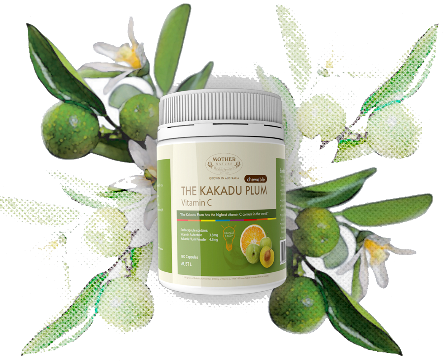 Enquire Now - Desert Lime & Sea Parsley Candle Fragrance Oil (1424x1184), Png Download