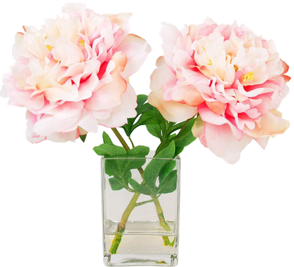 Blushing Peony | Floral Flowers | Creative Designs (600x546), Png Download