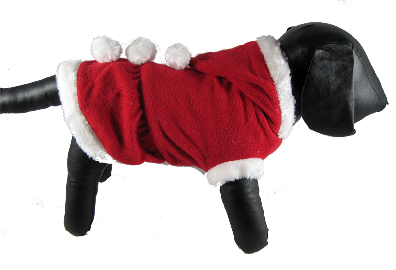 Mrs Claus Santa Dress Sc 1 St Gizmou0027s Dog Shop - Dog (800x600), Png Download