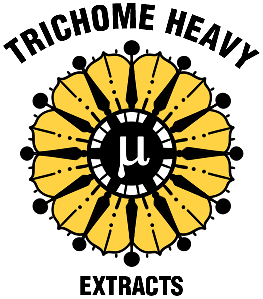 The Logo With White Stroke (527x599), Png Download