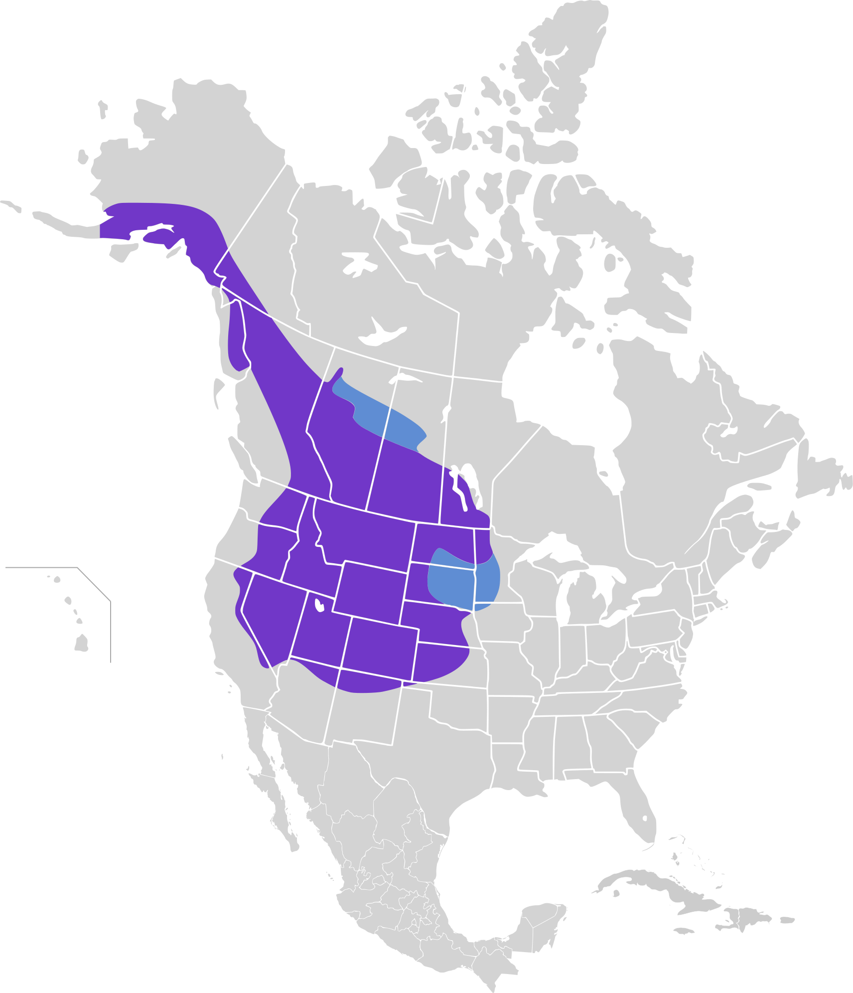 Pica Hudsonia Map - Population Of Mule Deer In North America (1712x1992), Png Download