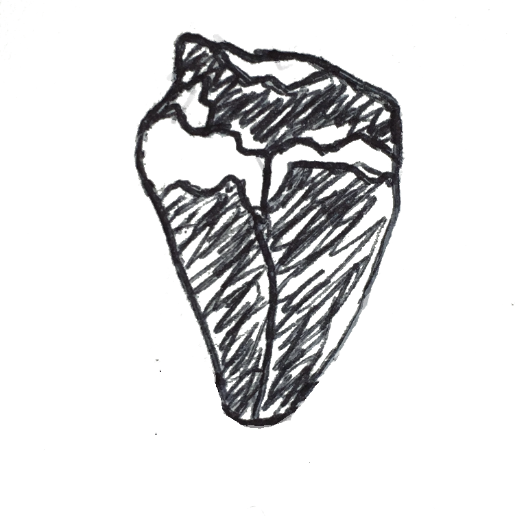 Dave Eats A Deer Heart - Sketch (751x758), Png Download