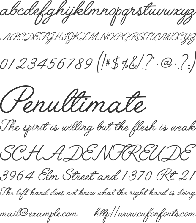 Angelface - Decor Designs Decals Sisters Are Different Quote Wall (660x750), Png Download