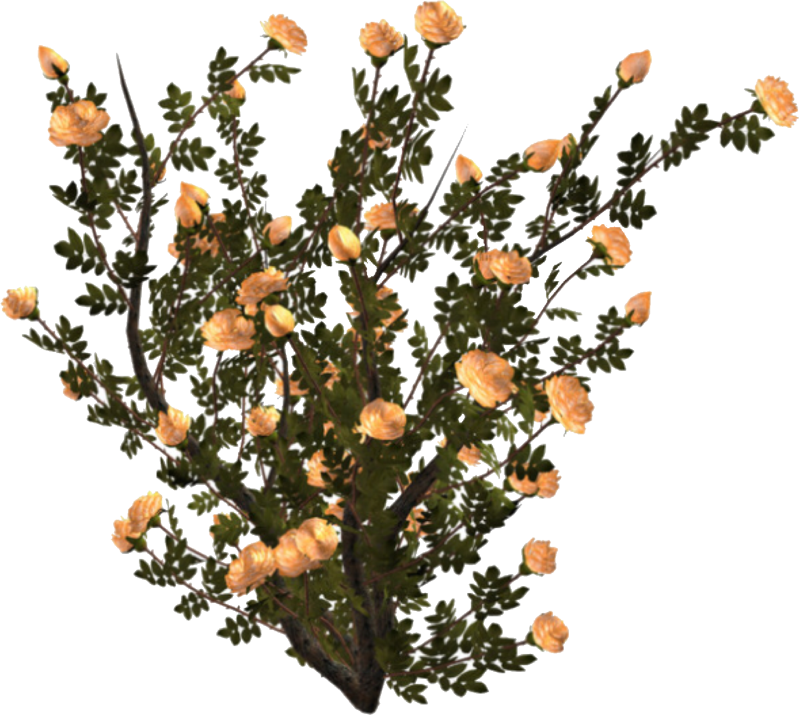 Plant Polyvore Pngs Pinterest Everything Shes A - Mood Board (2048x1551), Png Download