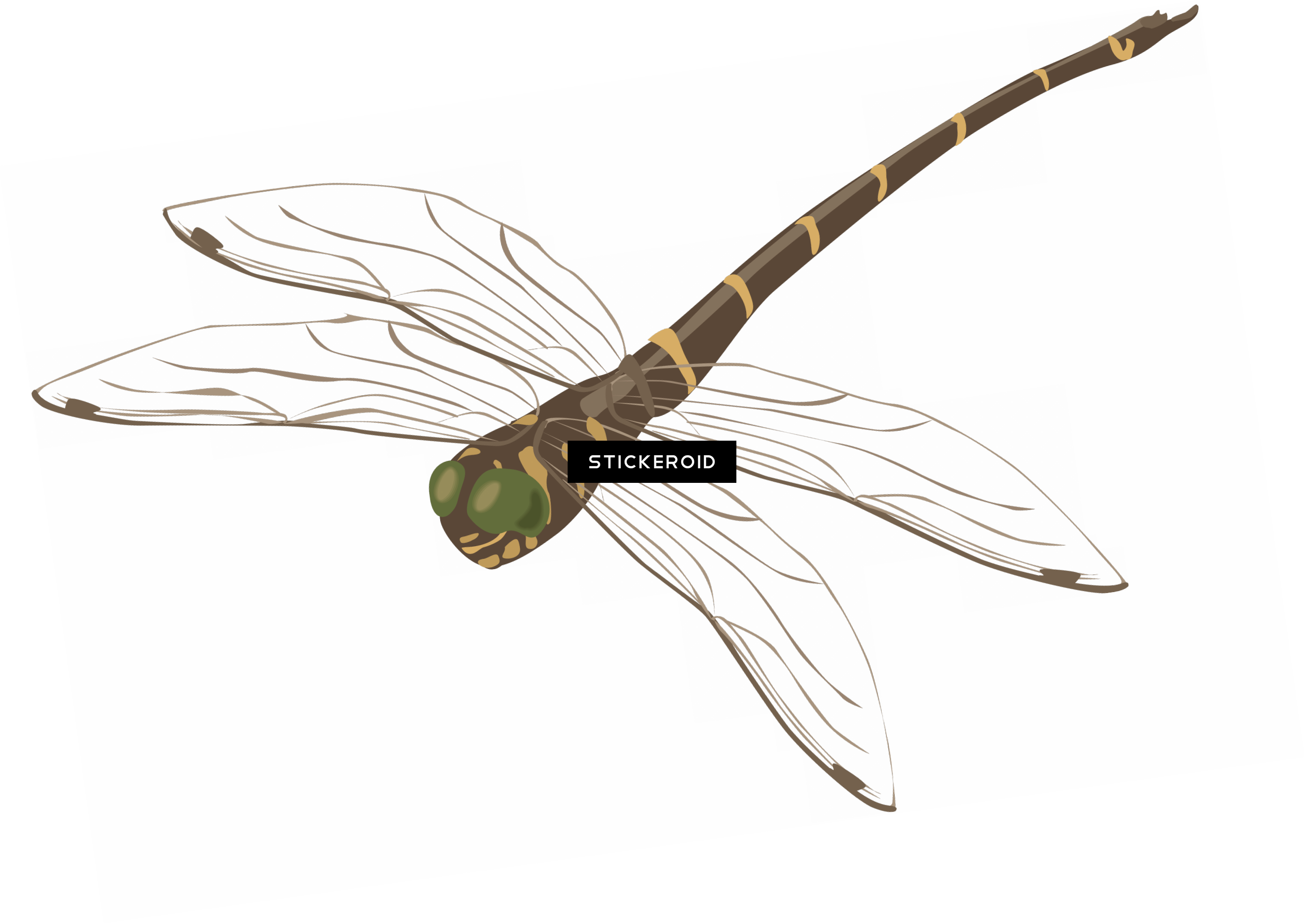 Dragonfly Insects - Photography (2782x1971), Png Download