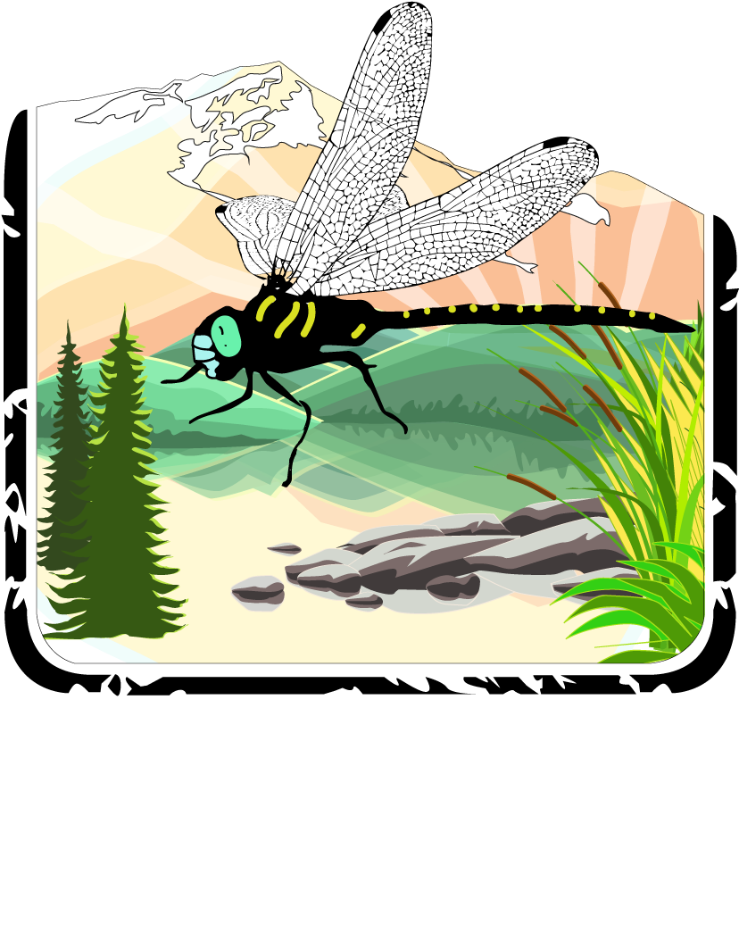 Shadow Darner Oktoberfest 25 Ibu/7 - Shadow Darner (1000x1100), Png Download