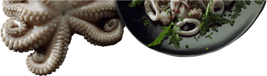 Super Fresh - Illustration (1600x916), Png Download