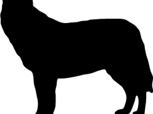 Wolf Animal Silhouettes - Companion Dog (640x480), Png Download