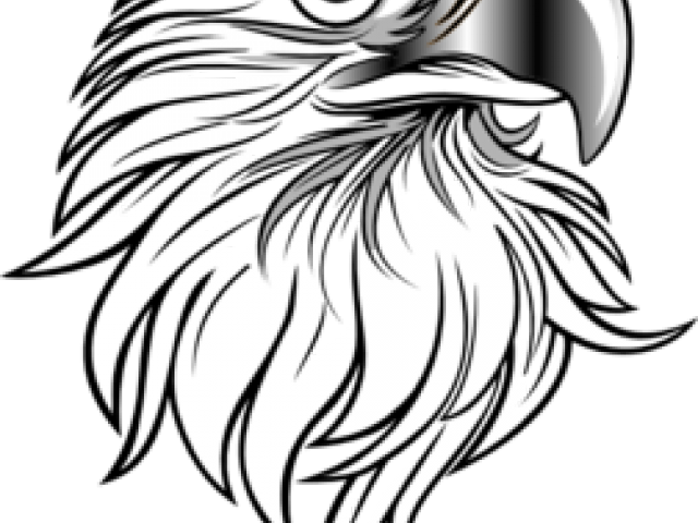 Eagle Head Side Black And White (640x480), Png Download