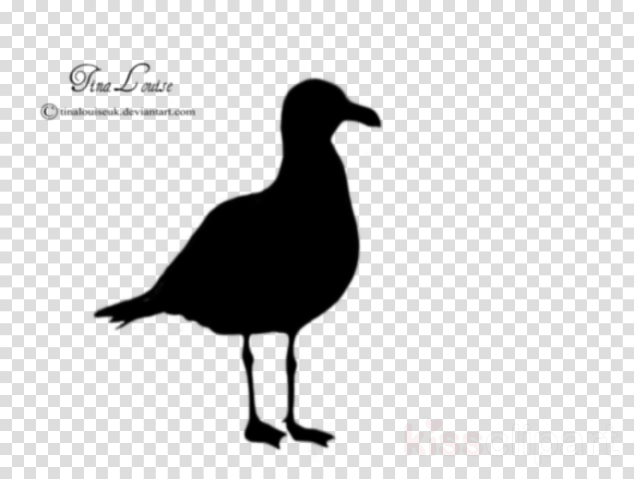 Seagull Silhouette Clipart Gulls Bird Silhouette - Logo Google Map (900x680), Png Download