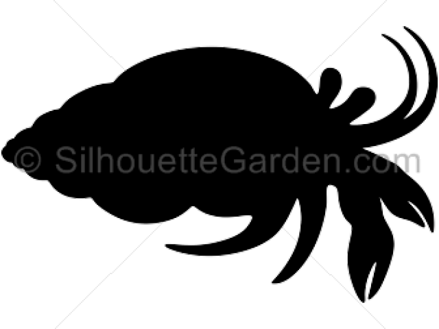 Silueta Cangrejo Ermitaño (640x480), Png Download