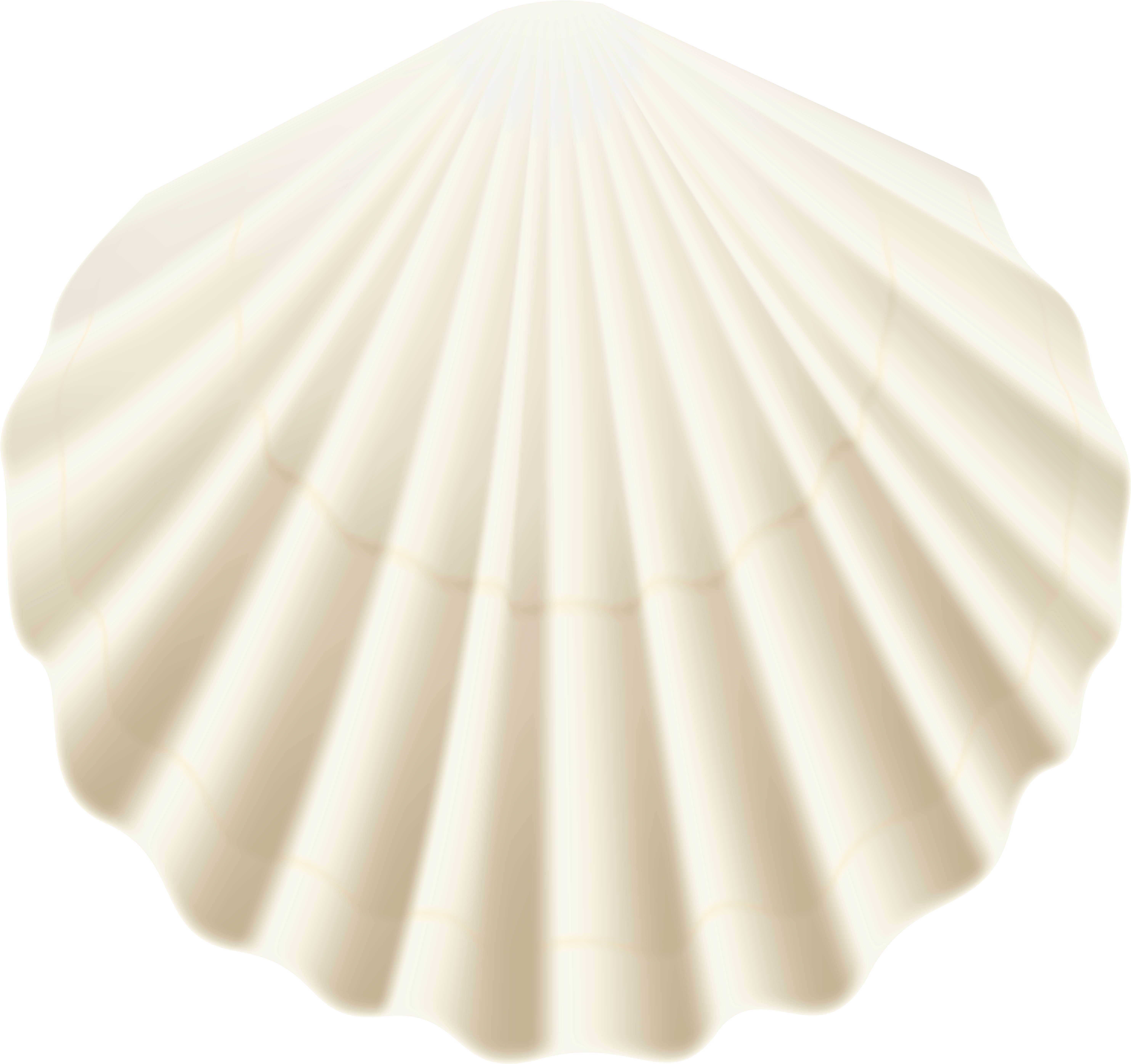 White Sea Shell Png (6000x5647), Png Download