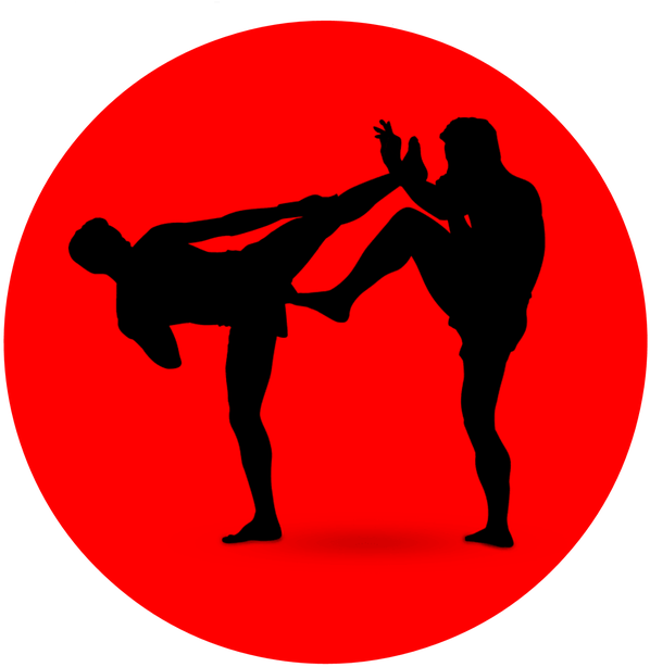 Boxing, Icon, Silhouette, Sport, Fighter, Fight - Kickboxing (720x720), Png Download